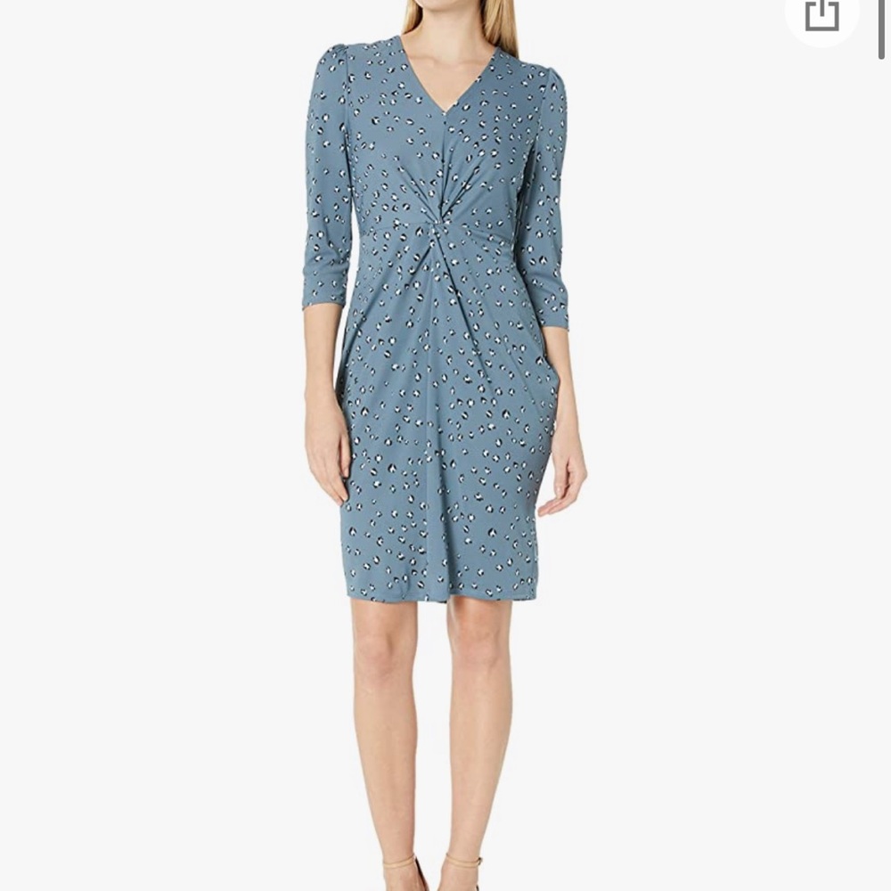 Lark & Ro Blue Cheetah dress